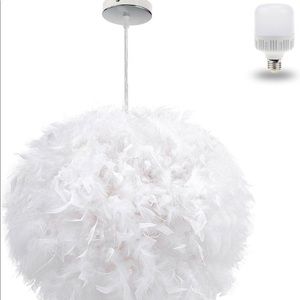 Feathered ceiling light